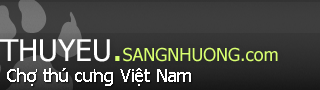 Chợ thú cưng Việt Nam